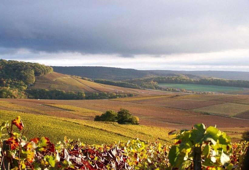 Bed and Breakfast La Tuiliere