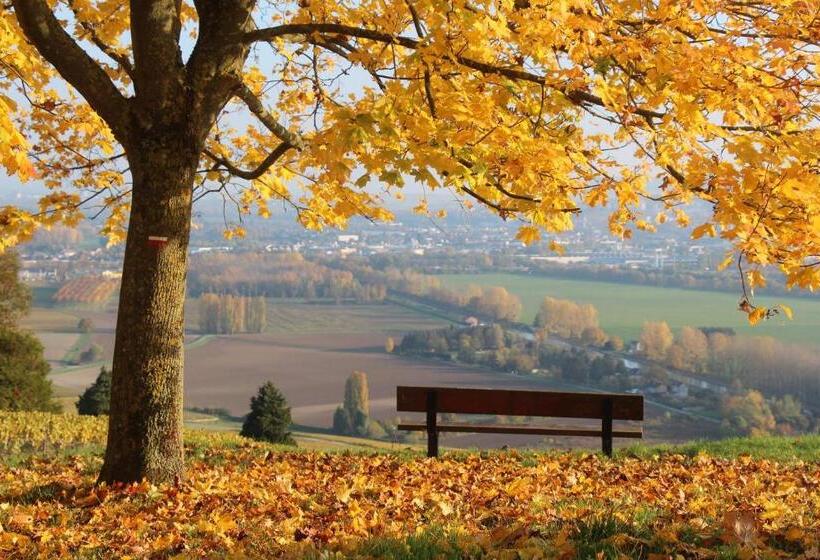 Bed and Breakfast La Tuiliere