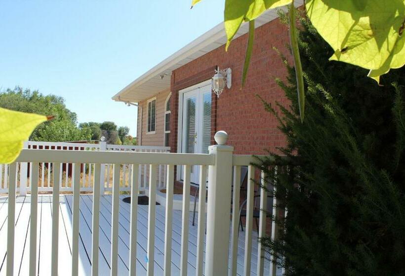 مبيت وإفطار Swallow Cove