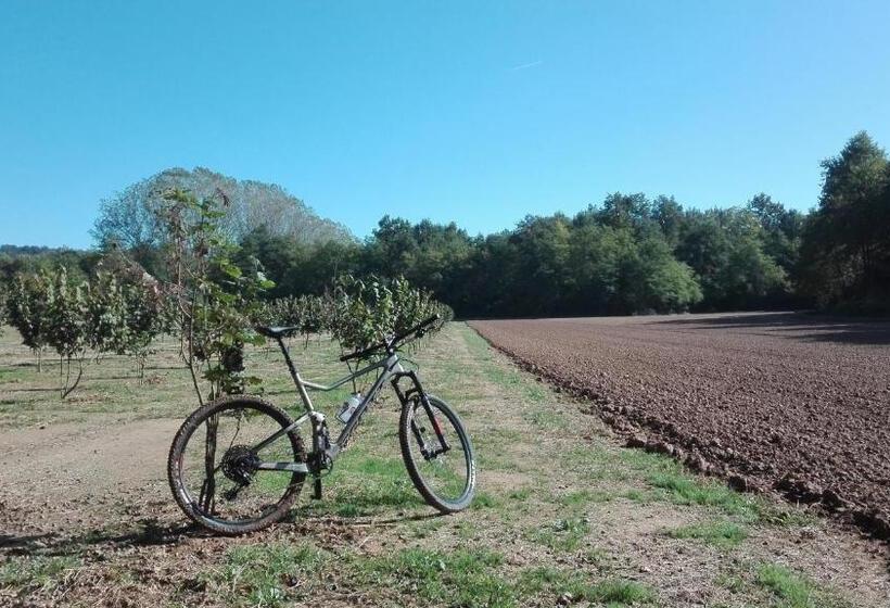مبيت وإفطار Villa Adriana