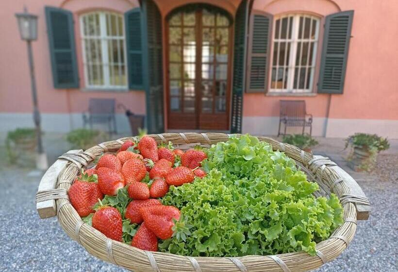 Bed and Breakfast Villa Adriana