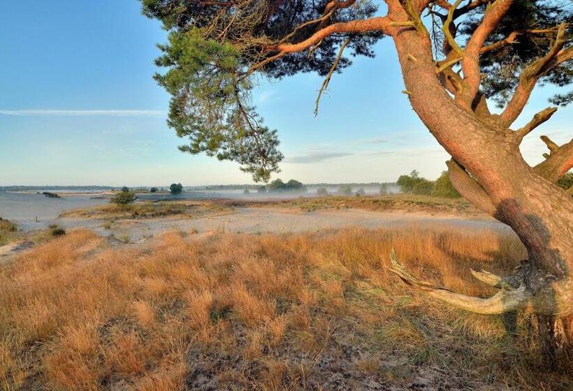 Dreamzzz Boutique B&b Kaatsheuvel