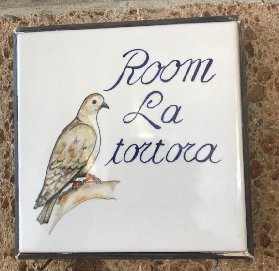 Отель Agriturismo A Casa Di Susanna