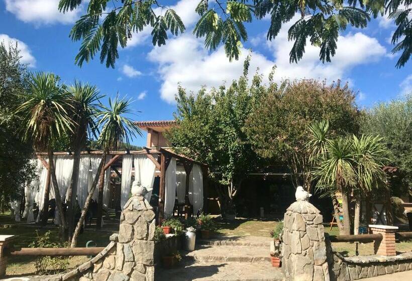 Отель Agriturismo A Casa Di Susanna