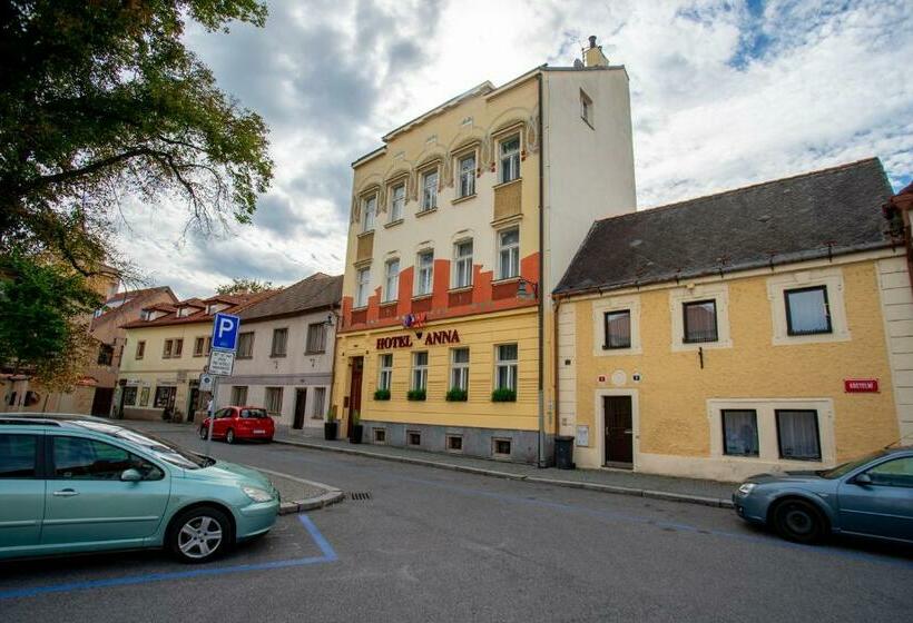 Отель Anna