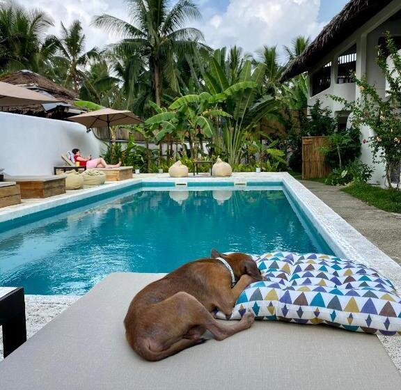 هتل Parrots Boutique Resort