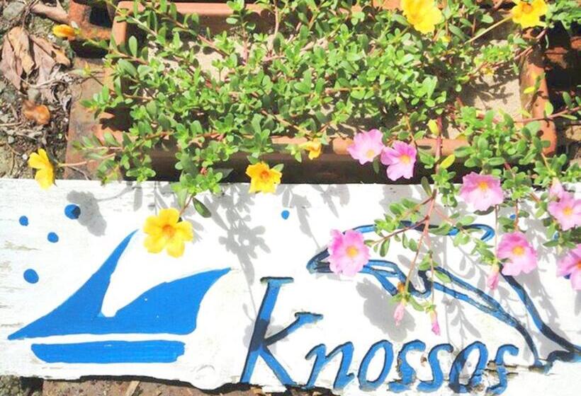 Kamo Gun   Hotel / Vacation Stay 50721