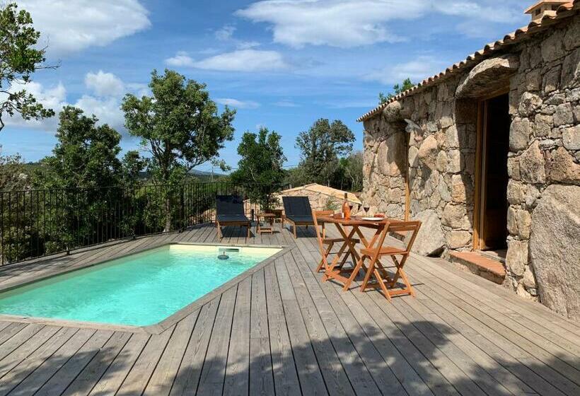 Пансион Alzitedda