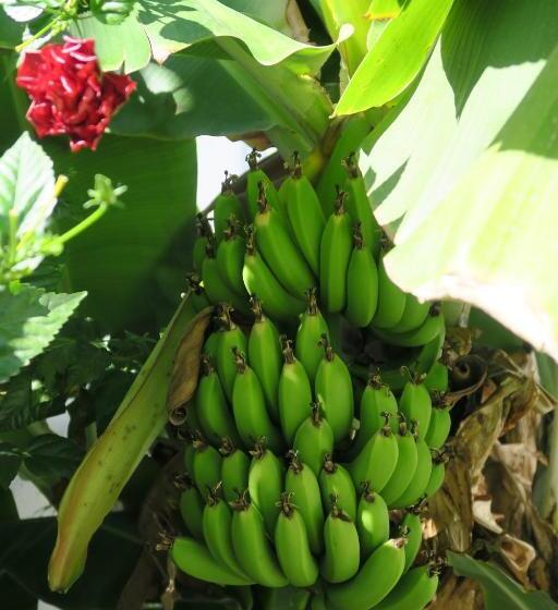 Пансион Azul Sul