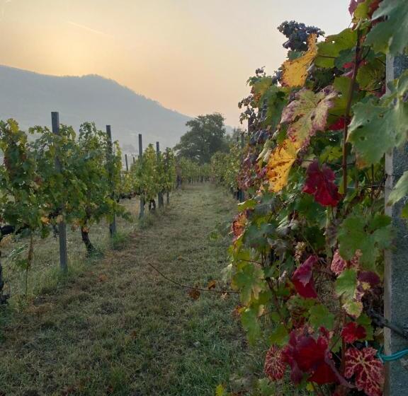 פנסיון B&b Ai Filari