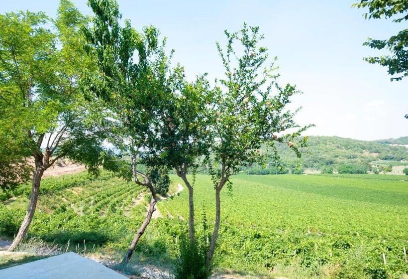 פנסיון B&b Ai Filari