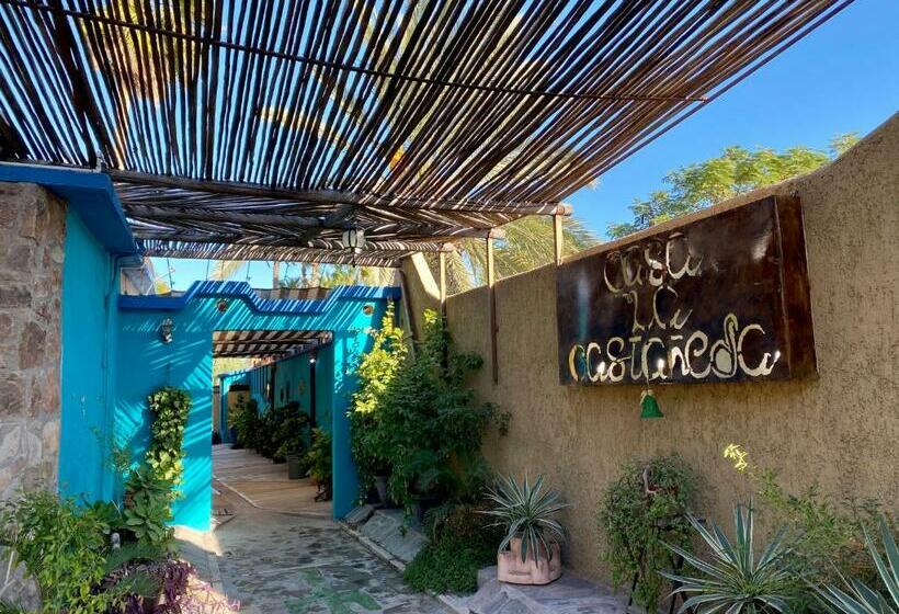 膳宿费 Casa La Castañeda