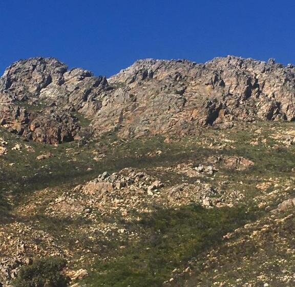 بنسيون Flavours At 34