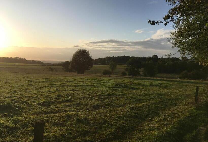 膳宿费 L’aragne