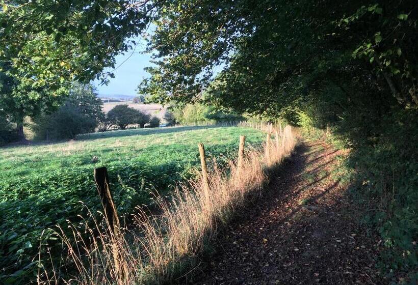 פנסיון L’aragne