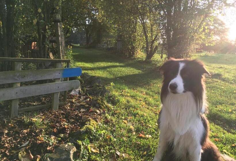 פנסיון L’aragne