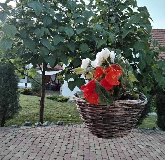 ペンション Mánfa Gyöngy Vendégház