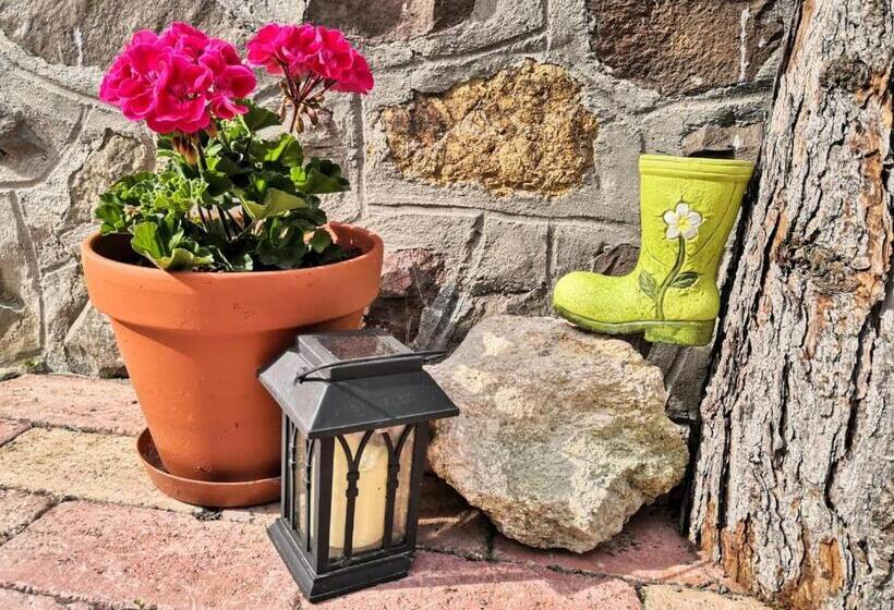 ペンション Mánfa Gyöngy Vendégház