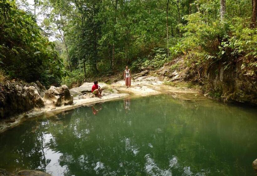 膳宿费 Nias Kristov Surf Camp