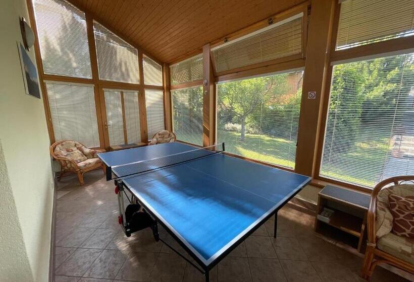 Пансион Penzión Snow