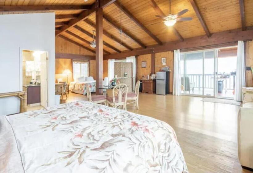 بنسيون Serenity Hale