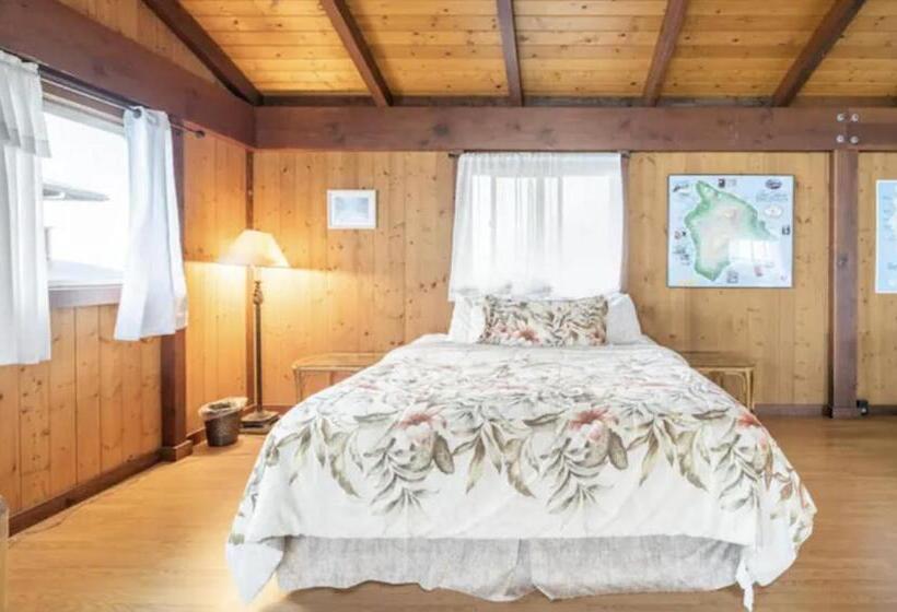 بنسيون Serenity Hale