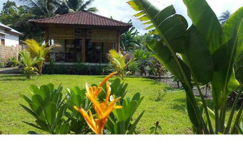 פנסיון Waiara Village Guesthouse