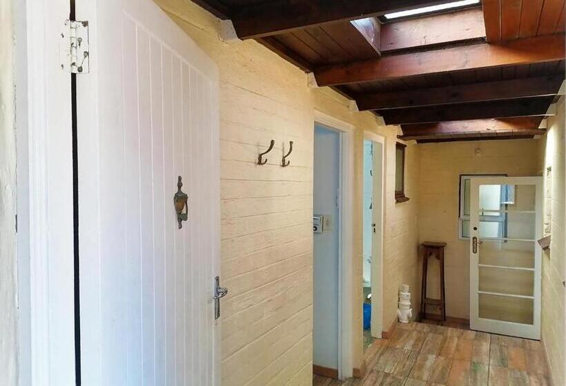 Southern Comfort On The Pool