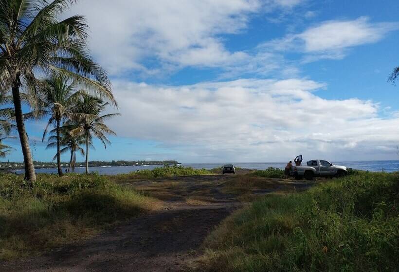 فندق صغير Ocean Breeze Inn