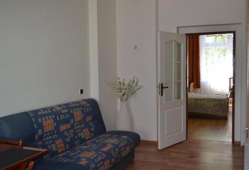 Apartments  Vintag  Teplice