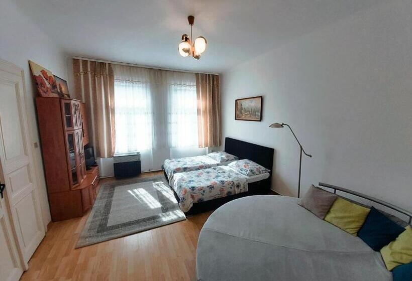 Apartments  Vintag  Teplice