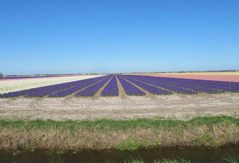 צימר Achter Het Anker