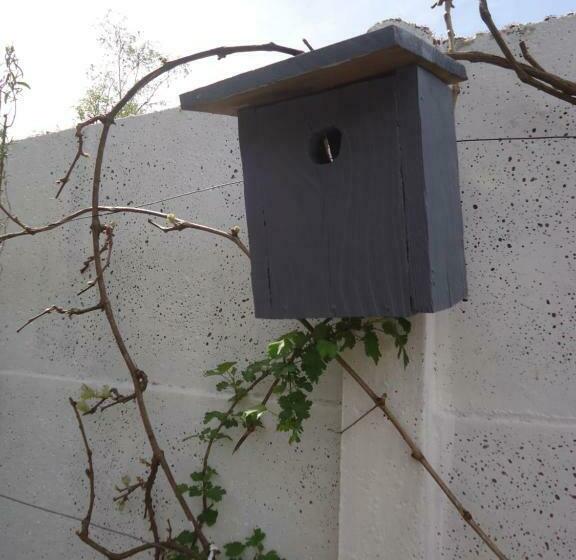 ベッドアンドブレックファースト Au Vert A Olivet