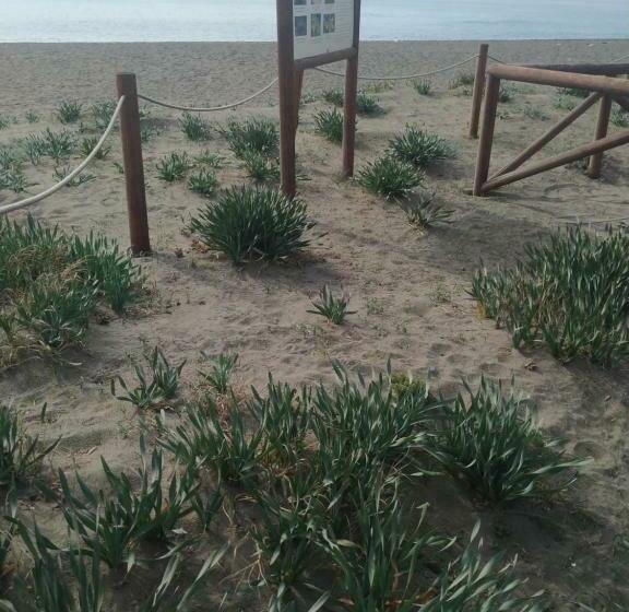 ベッドアンドブレックファースト Suites Beach Nature