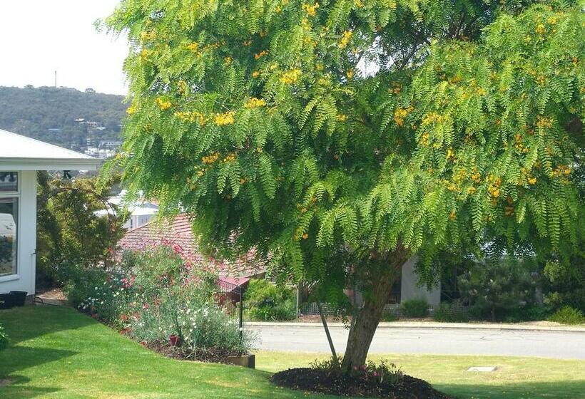 تختخواب و صبحانه C Est La Vie