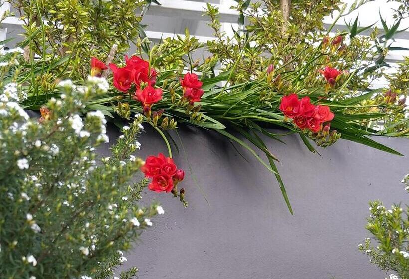 تختخواب و صبحانه C Est La Vie