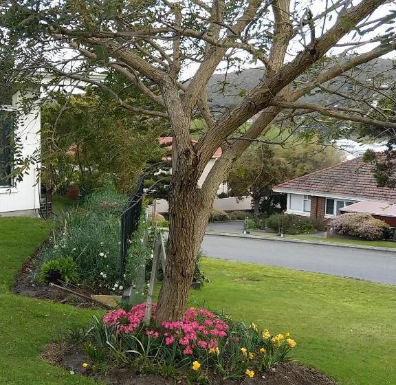 تختخواب و صبحانه C Est La Vie