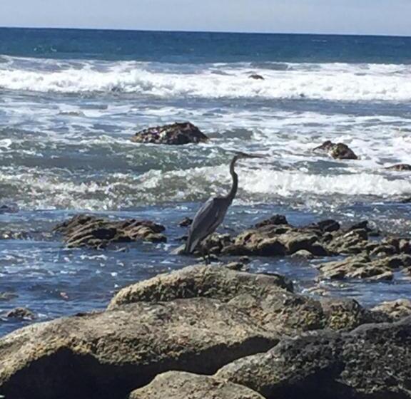 مبيت وإفطار Casa De La Costa