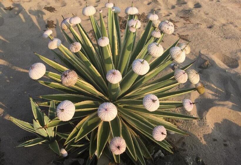 مبيت وإفطار Casa De La Costa