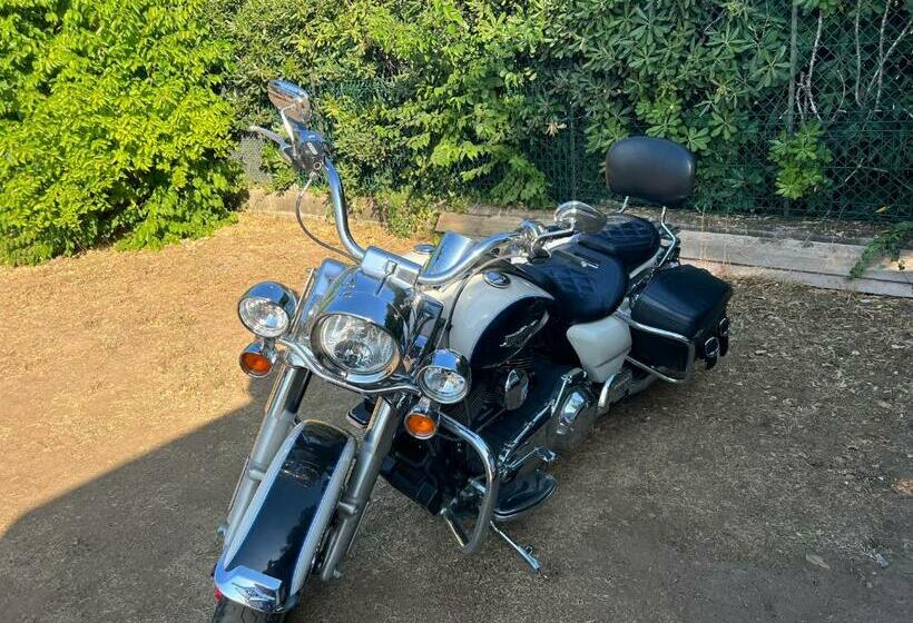 ベッドアンドブレックファースト Chalet Zen