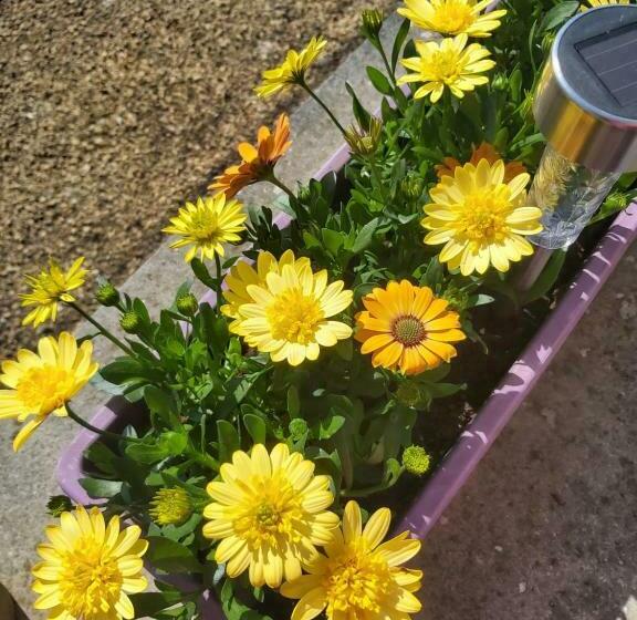 צימר Claire De Meuse Rooms Of December Fairyland