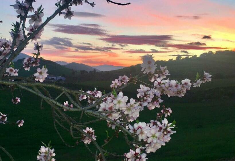 צימר Finca Las Campanas Ii