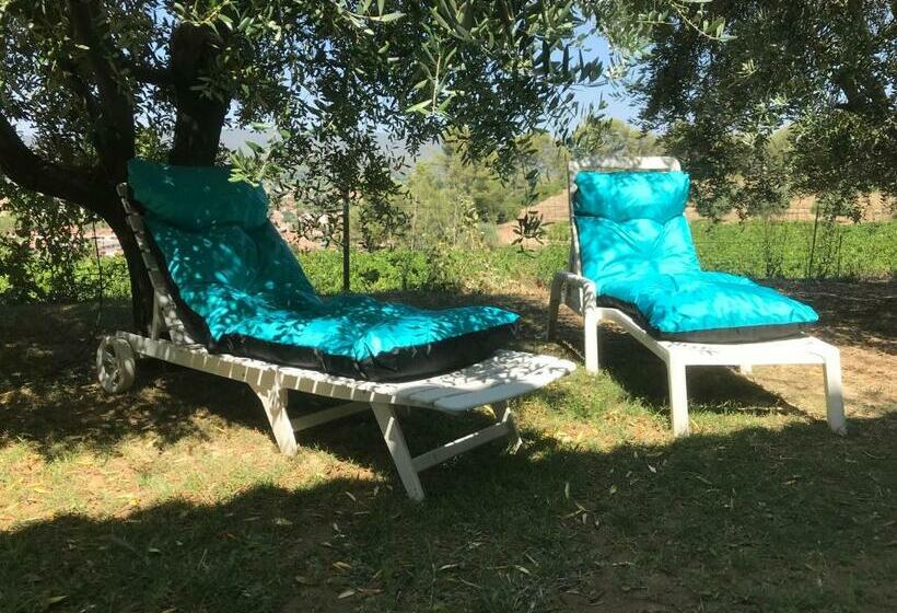 Bed and Breakfast Guesthouse Du Moulin