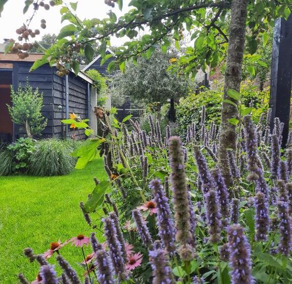 ベッドアンドブレックファースト Inn The Green