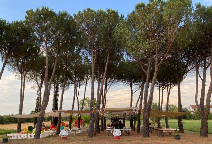 تختخواب و صبحانه Jenny S Country Dreamhouse