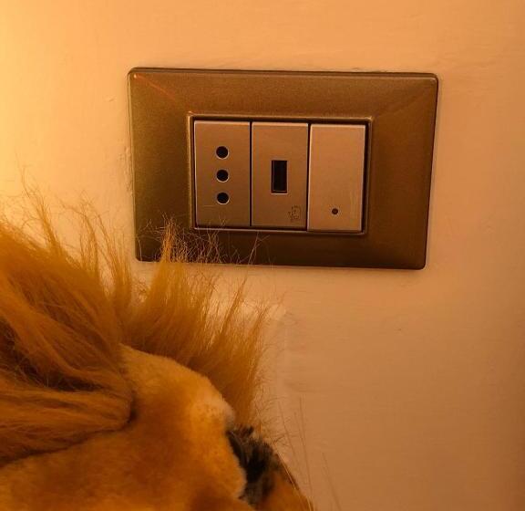 تختخواب و صبحانه Jenny S Country Dreamhouse