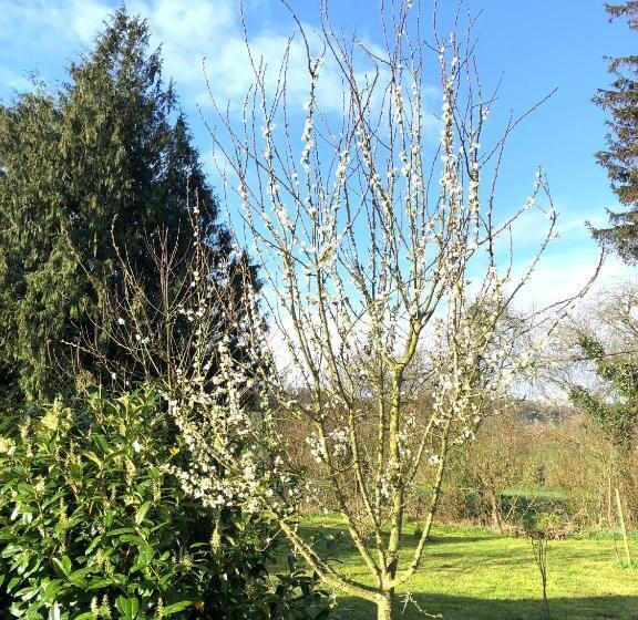 צימר La Blanche Roche