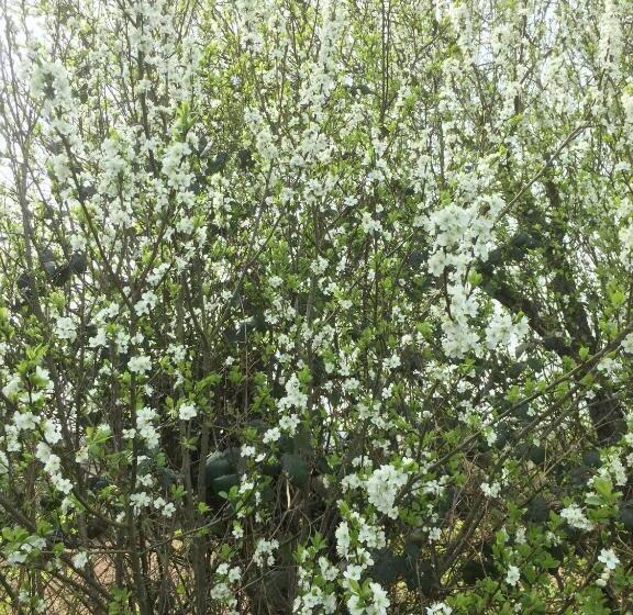 צימר La Blanche Roche