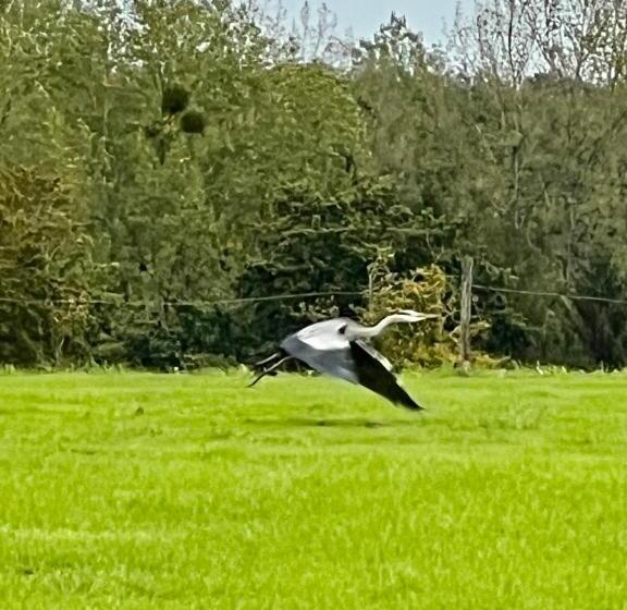 צימר La Blanche Roche