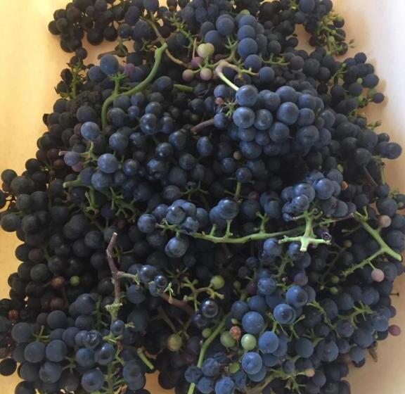 צימר La Blanche Roche